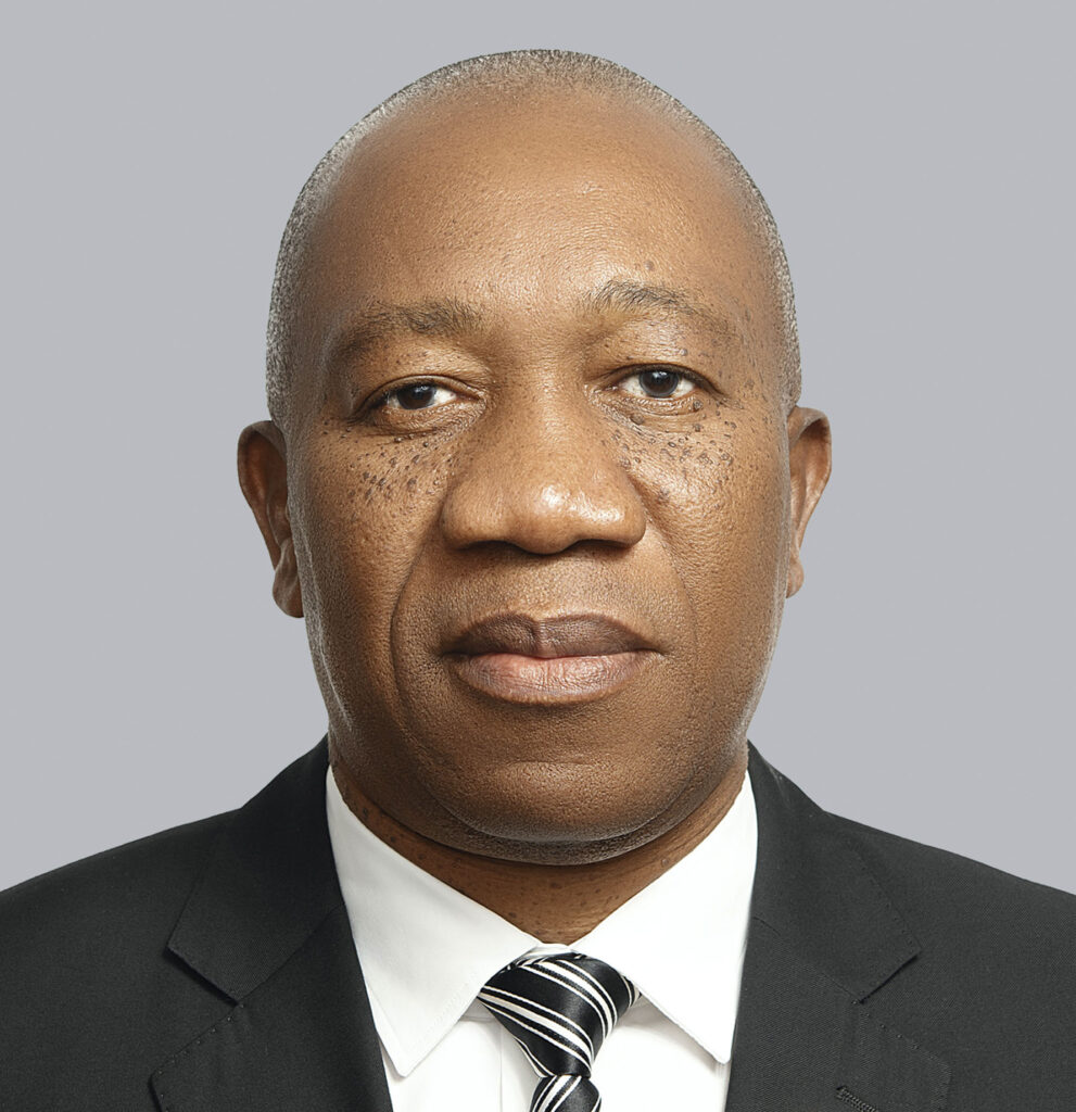Agostinho Langa Jr Organizacao